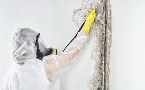 Best Mold Remediation for Healthcare Facilities  in Bear, DE